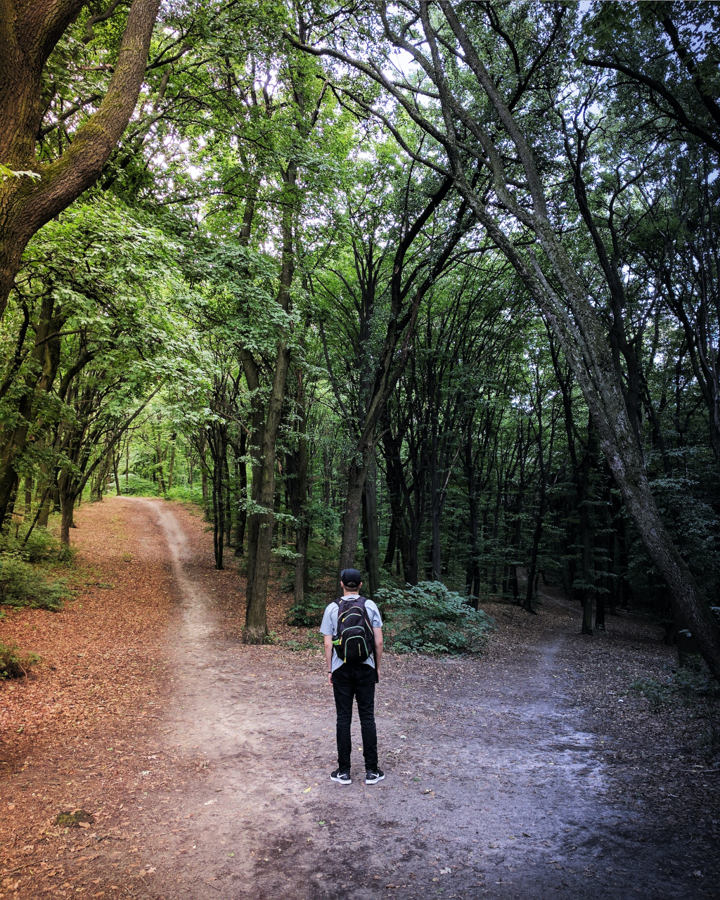 An image depicting a person standing at a crossroads, symbolizing the importance of choosing the right niche path.