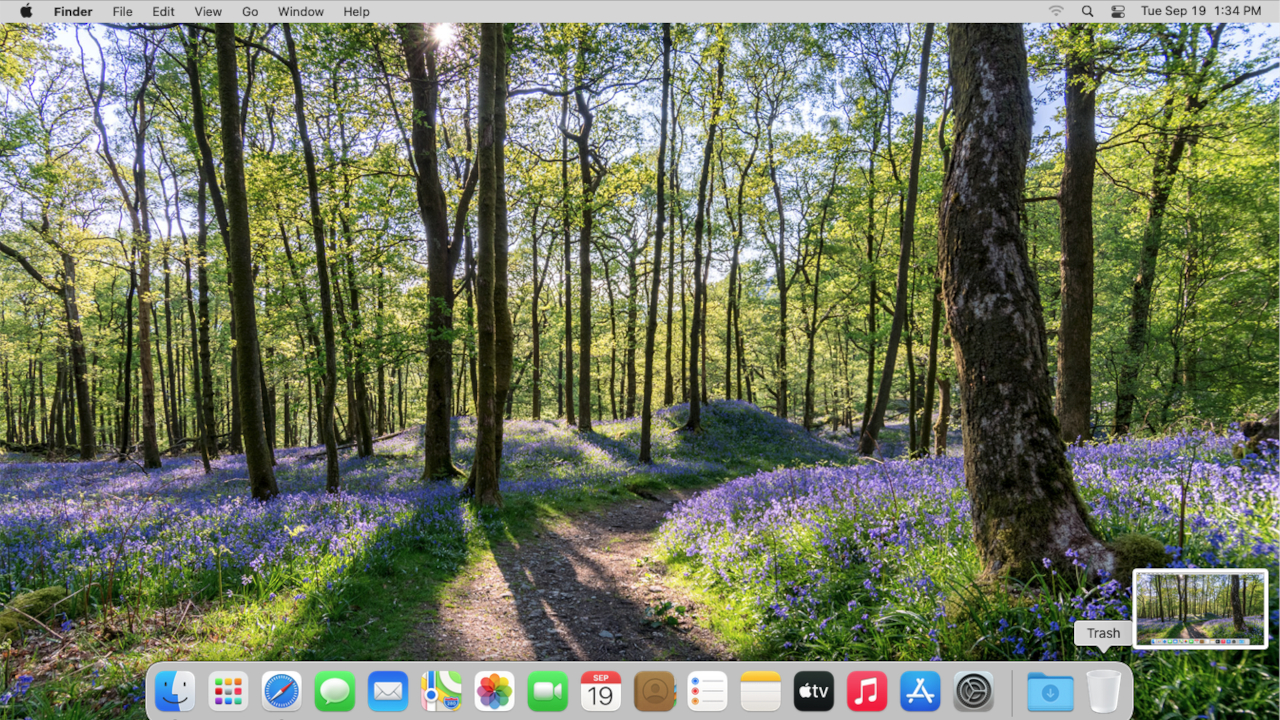 An image ilistrating a screenshot of the entire macOS desktop